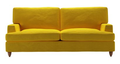 Isla 2.5 Seat Sofabed in Canary Cotton Matt Velvet - sofa.com