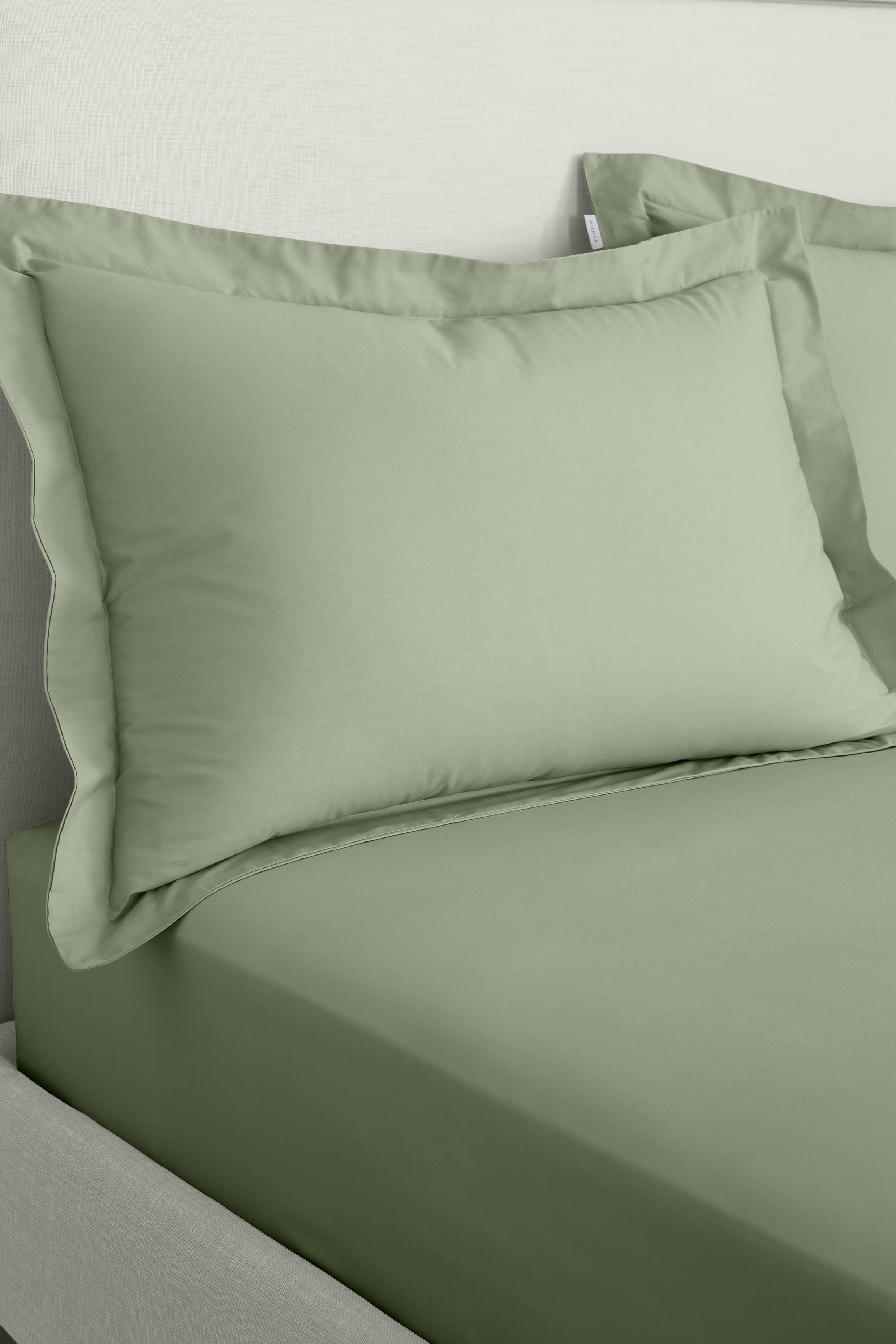 Bianca '200 Thread Count Cotton Percale' Oxford Pillowcases in Green