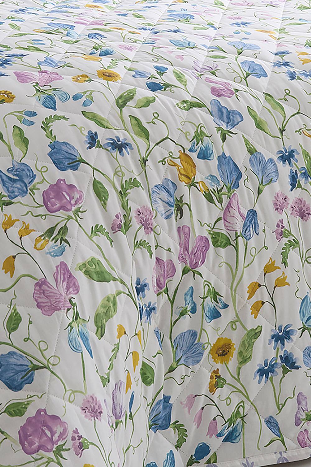 Dreams & Drapes 'Sweetpea Floral' Quilted Bedspread 2