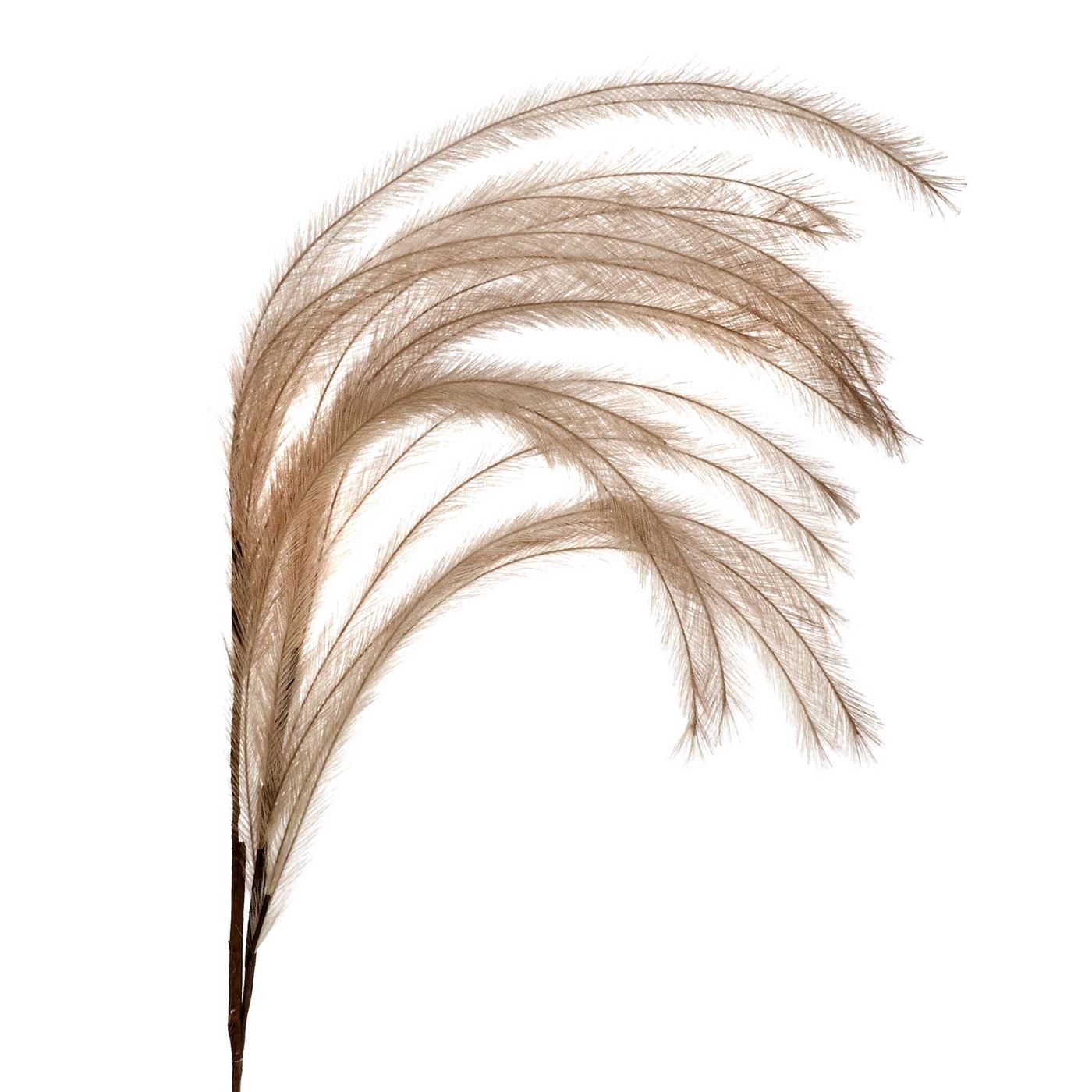 Faux Feather Plume, Beige