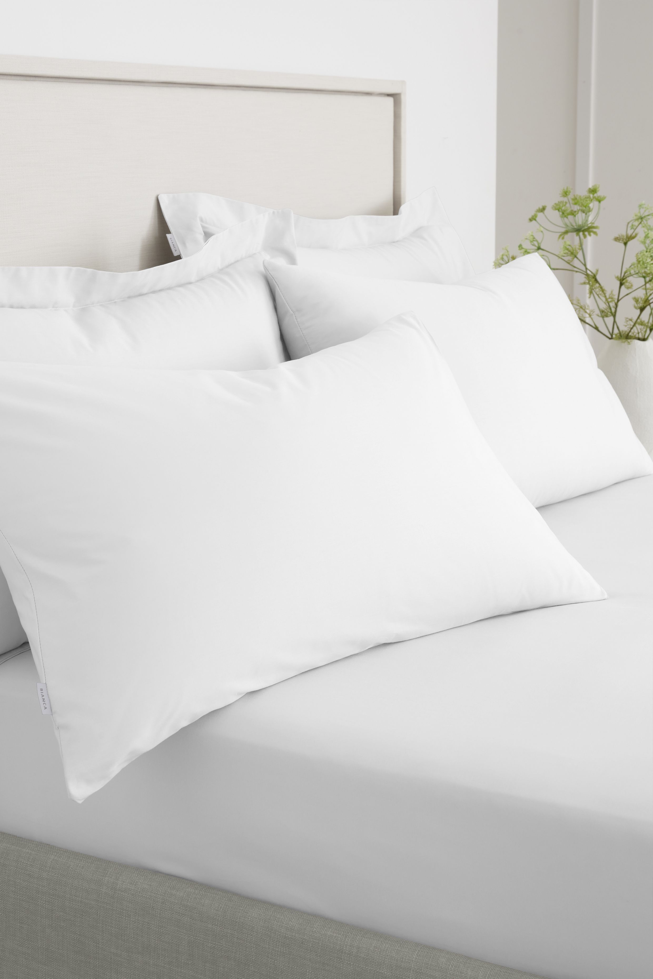 Bianca '200 Thread Count Cotton Percale' Standard Pillowcase Pair in White