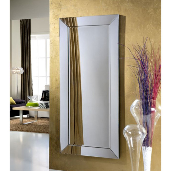 Serre Designer Narrow Rectangular Wall Mirror
