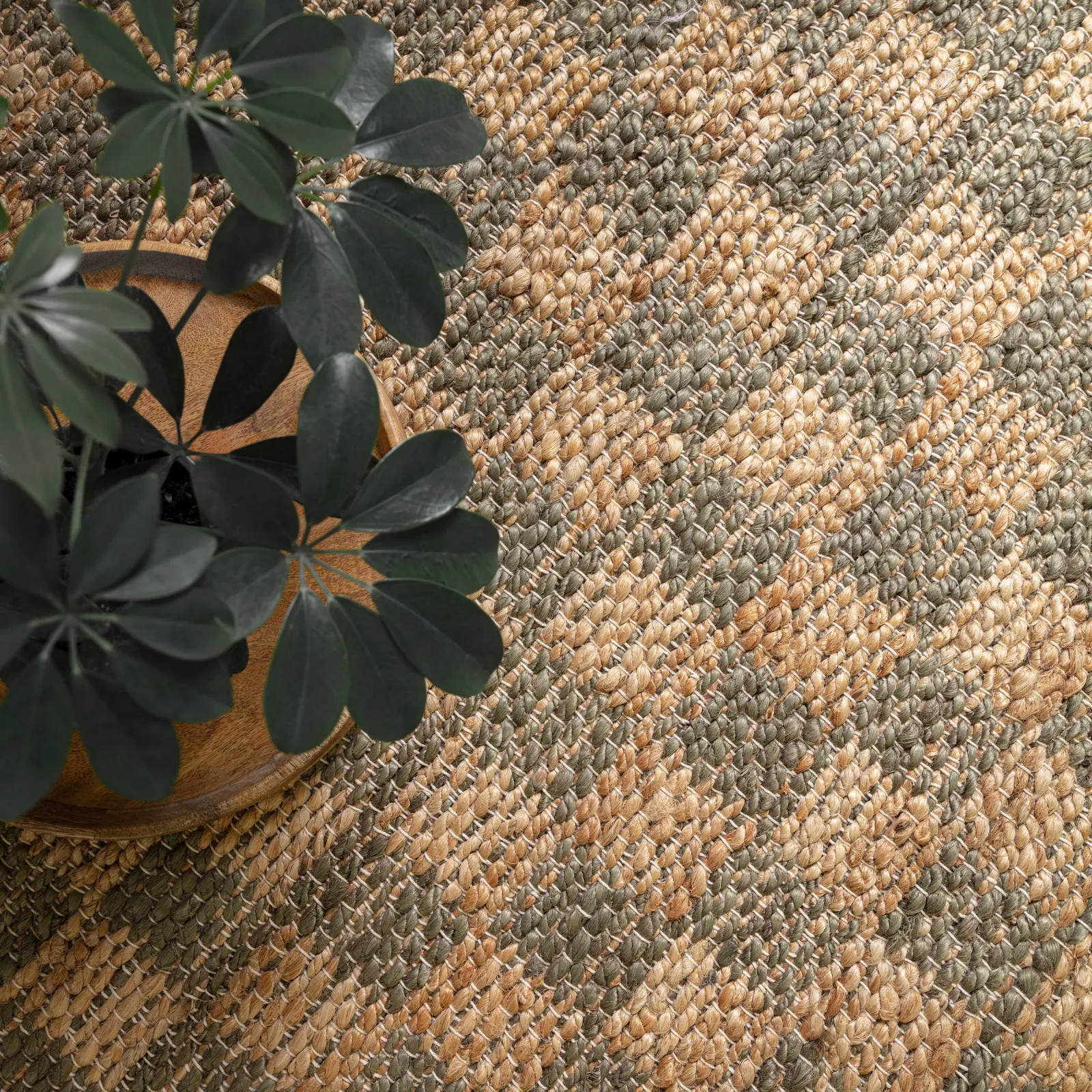 Avara Olive 160X230Cm Rug, Square, Green | Barker & Stonehouse 3