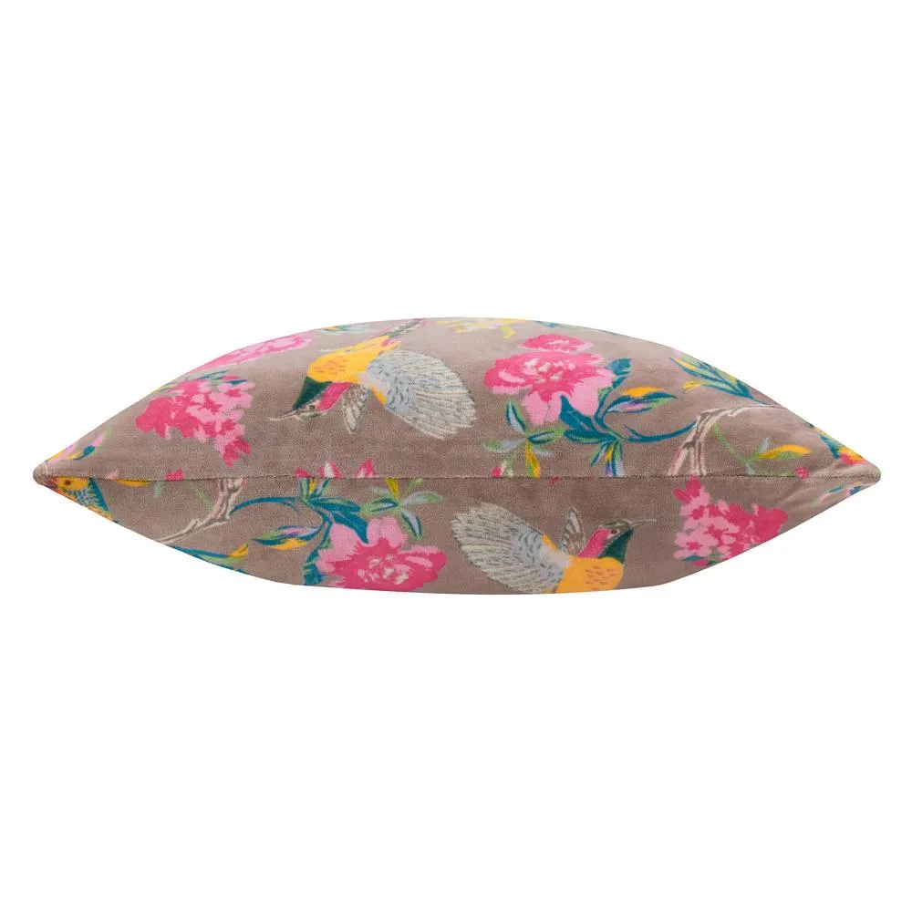 Wylder Aviary 100% Cotton Velvet Cushion in Dusty Pink 3
