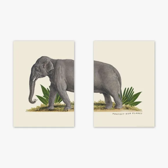 East End Prints Set of 2 Elephant Prints 2