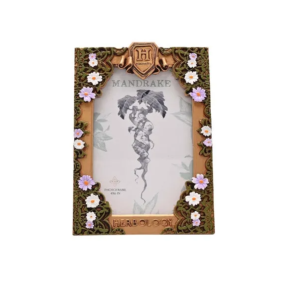 Harry Potter Herbology Photo Frame 2