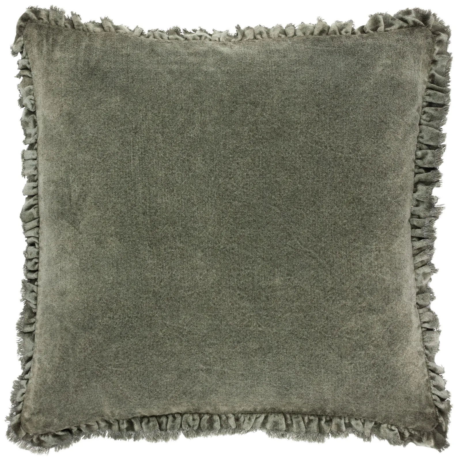 Yard Bertie 100% Cotton Velvet Cushion in Green 2