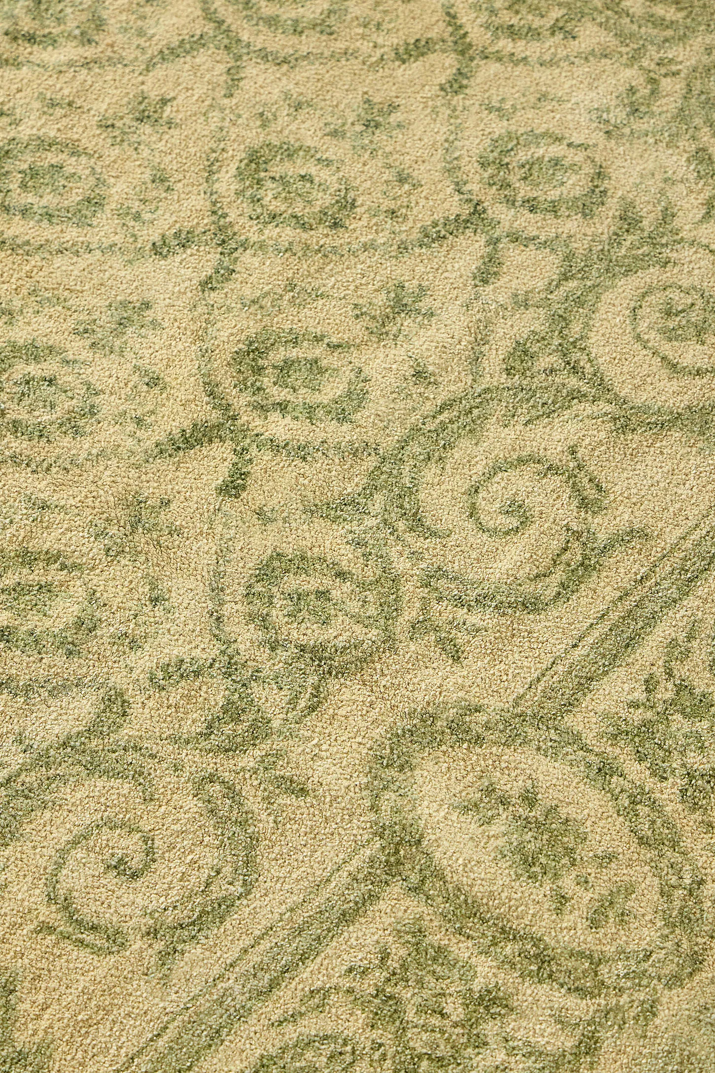 Eloise 5x7ft / 150x210cm Rug - Green 3