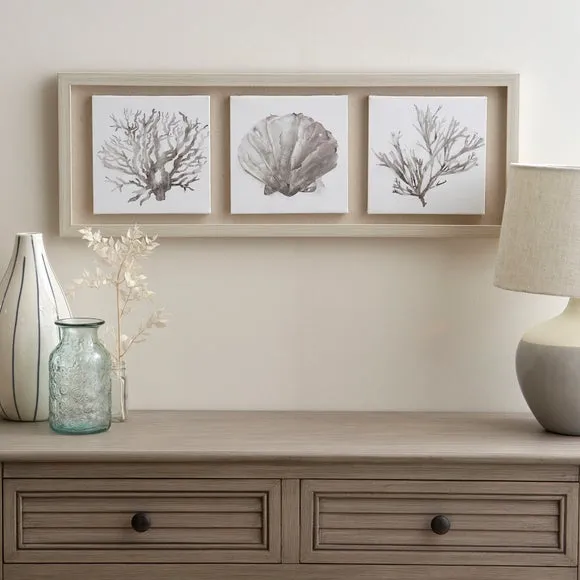 Coastal Corals Boxed Canvas
