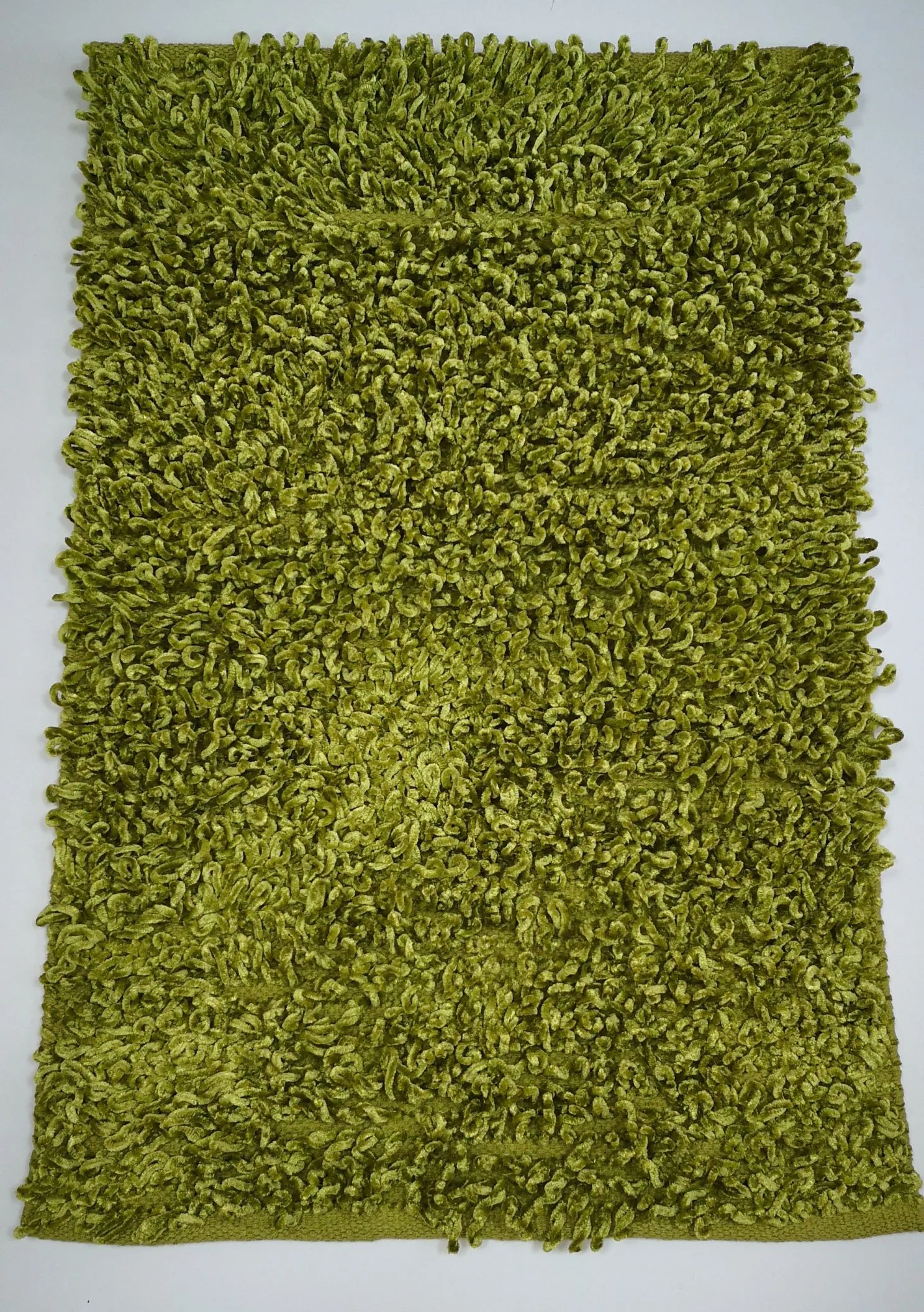 Rapport Home Oxford Shaggy Rug (55x85 cm) in Green 1