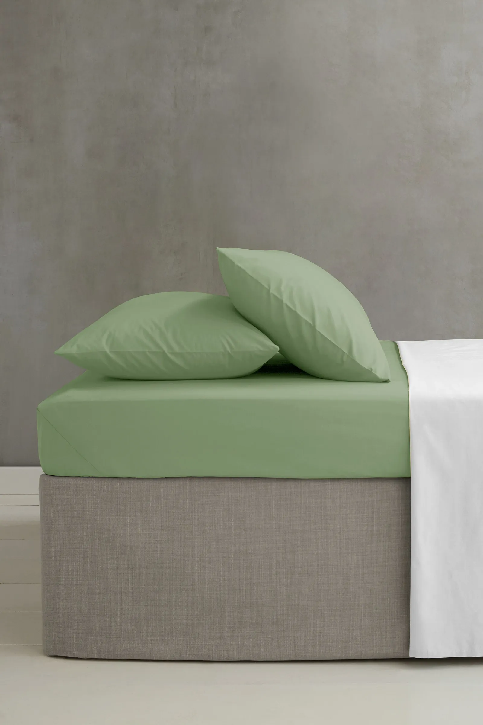 Catherine Lansfield 'Easy Iron Percale' Standard Pillowcase Pair in Light Green 2