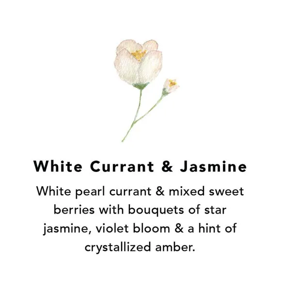 Northern Lights Set of 6 White Currant and Jasmine Votive Candles 2