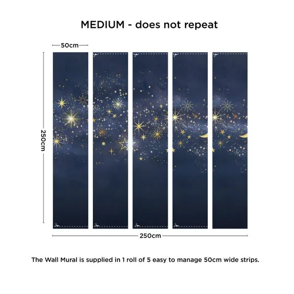 Celestial Wall Mural 4