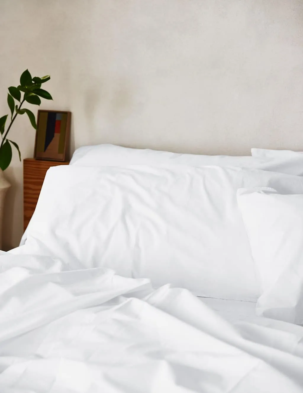 Piglet In Bed Pure Cotton Percale Pillowcase Set White