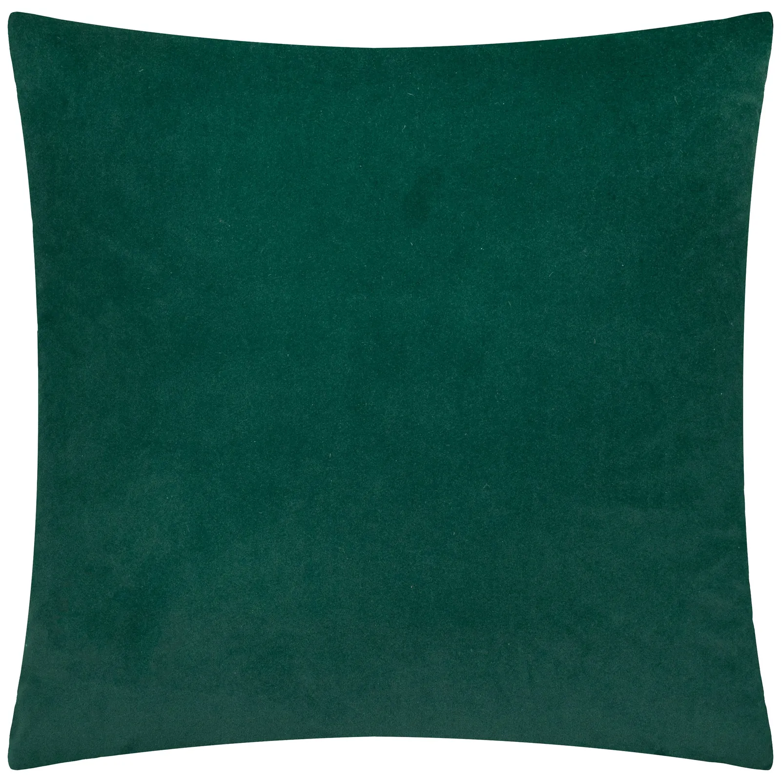 Paoletti Evoke Cut Velvet Cushion Emerald, Green 3