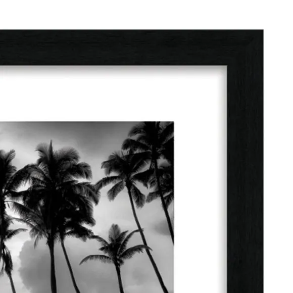 The Art Group Palm Reflection Framed Print 3