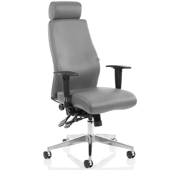 Onyx Ergo Leather Office Chair In Grey With Headrest And Arms