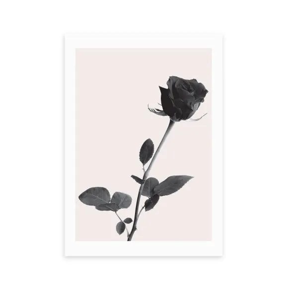 East End Prints One Rose Print 2