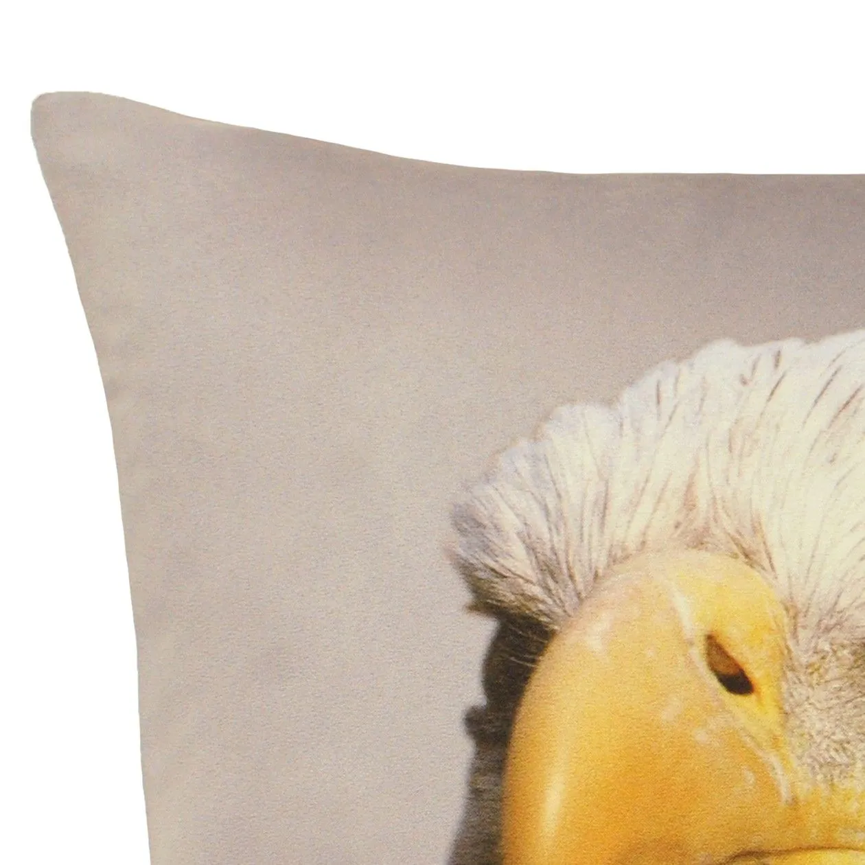 Paoletti Eagle Photographic Print Cushion in Grey 2