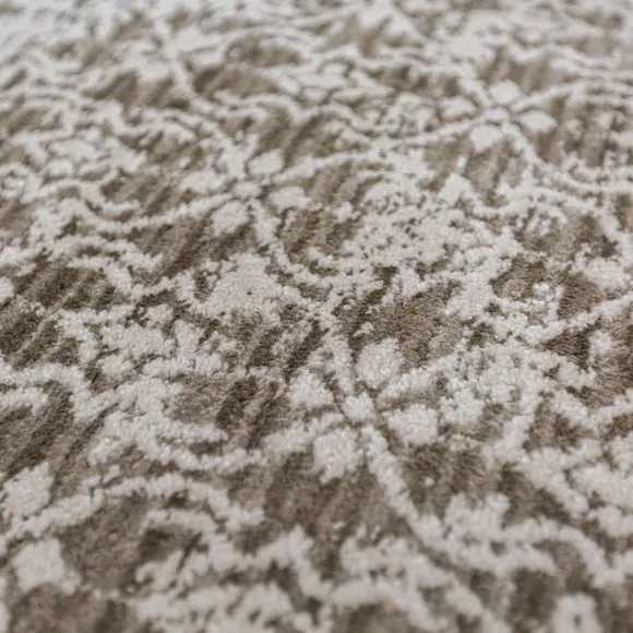 Talia Traditional Sheen Rug 2