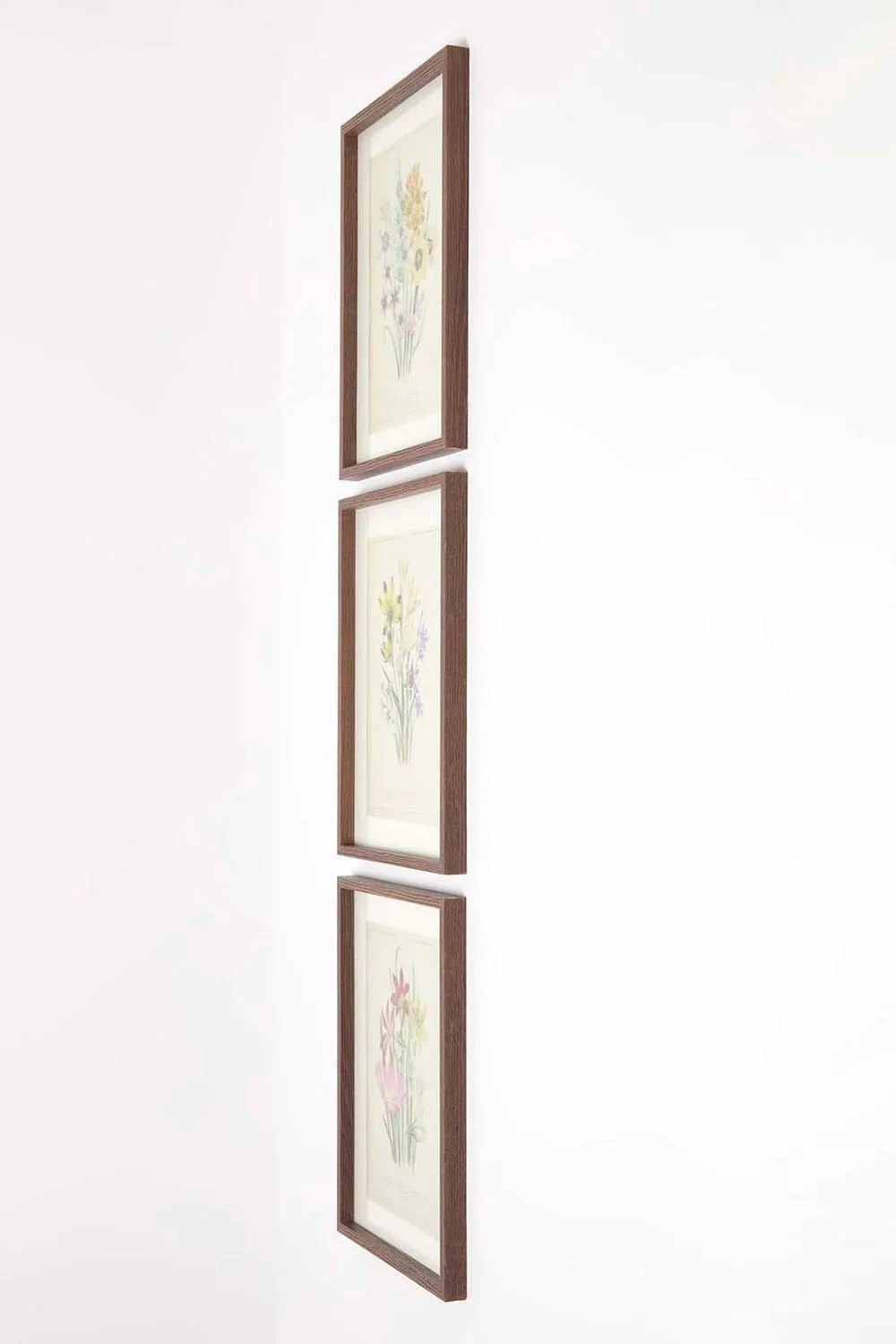 Homescapes Wall Decoration Set of 3 Frames with Picture, Wildflowers 5