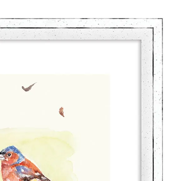 The Art Group Line Of Garden Birds Framed Print 3