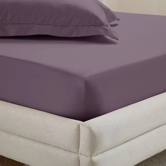 Dorma Crisp & Fresh 400 Thread Count Egyptian Cotton Percale Fitted Sheet 1