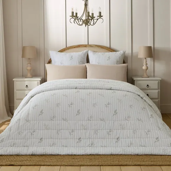 Dorma Abbotsford 100% Cotton Sateen Bedspread