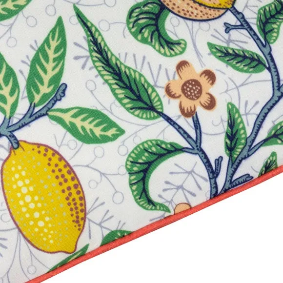 Fruits Outdoor Square Cushion 5