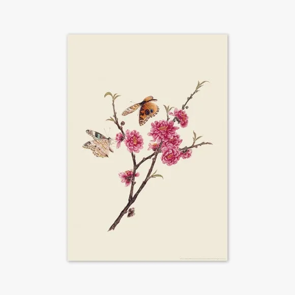 East End Prints Flower & Butterflies Print 2