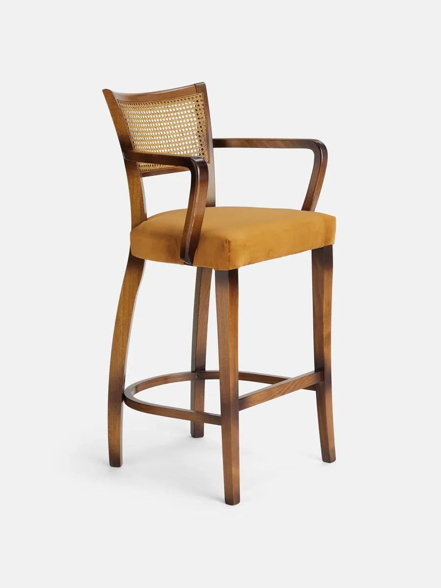 Molina Barstool, Cane Back, Velvet, Mustard
