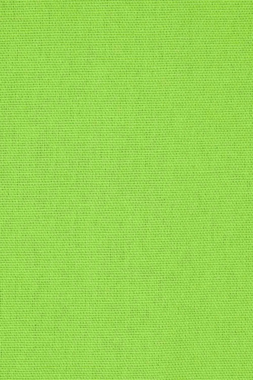 Homescapes Plain Cotton Ready Made Eyelet Curtain Pair in Green 5