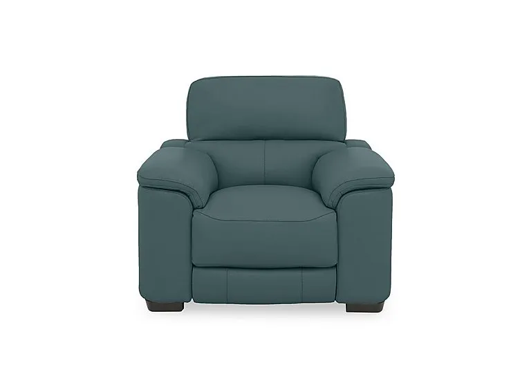 Nova Leather Chair - BV Lake Green