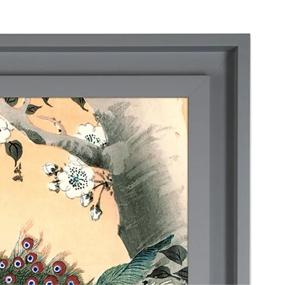The Art Group Peacock Framed Print 3