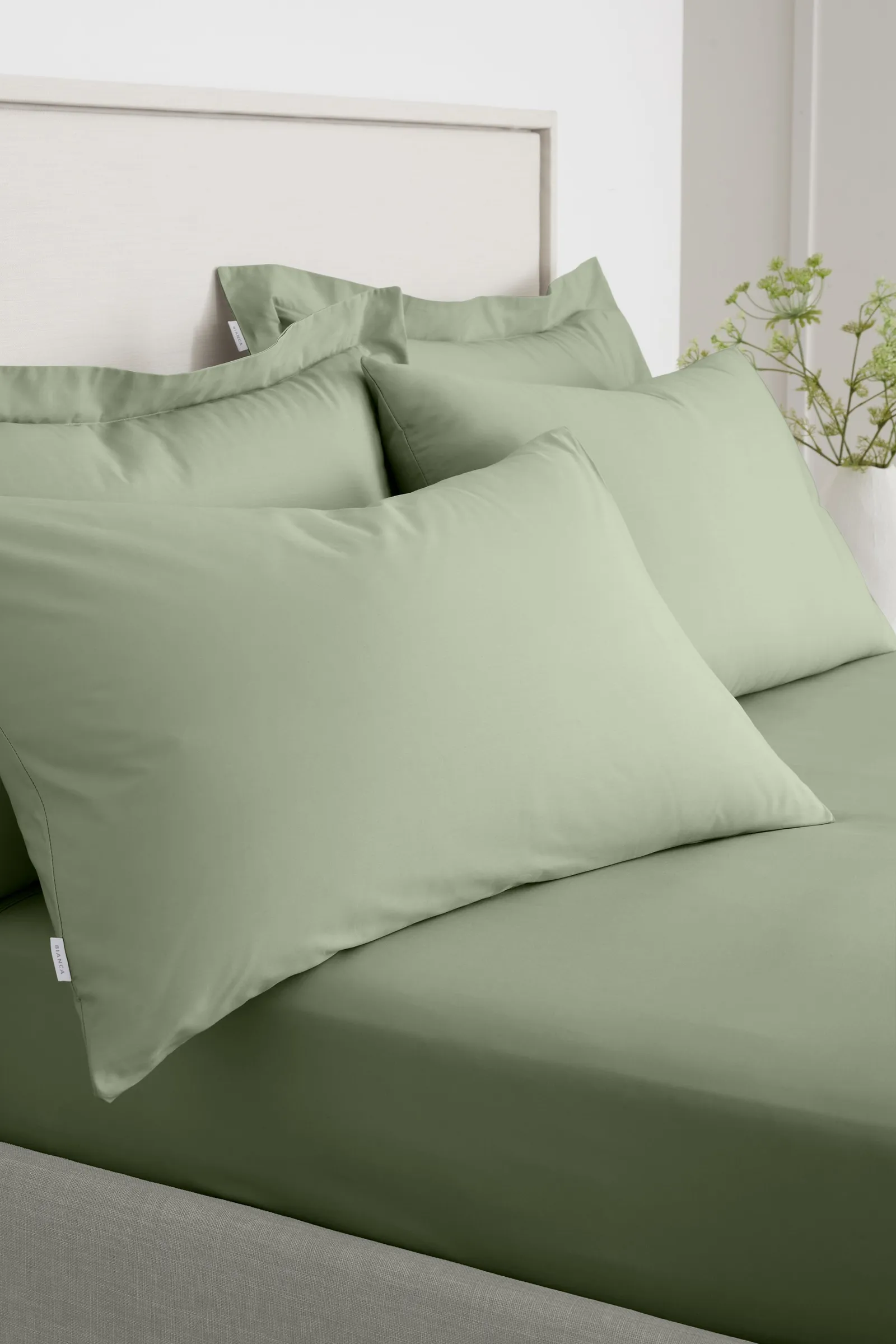 Bianca '200 Thread Count Cotton Percale' Standard Pillowcase Pair in Green 1