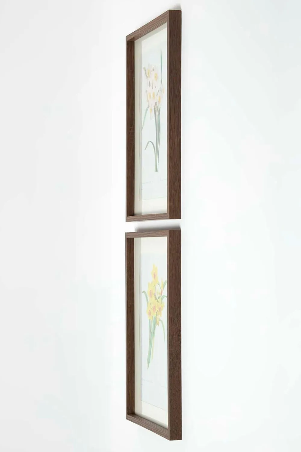 Homescapes Set of 2 Narcissus Flower Wall Art in Yellow 5
