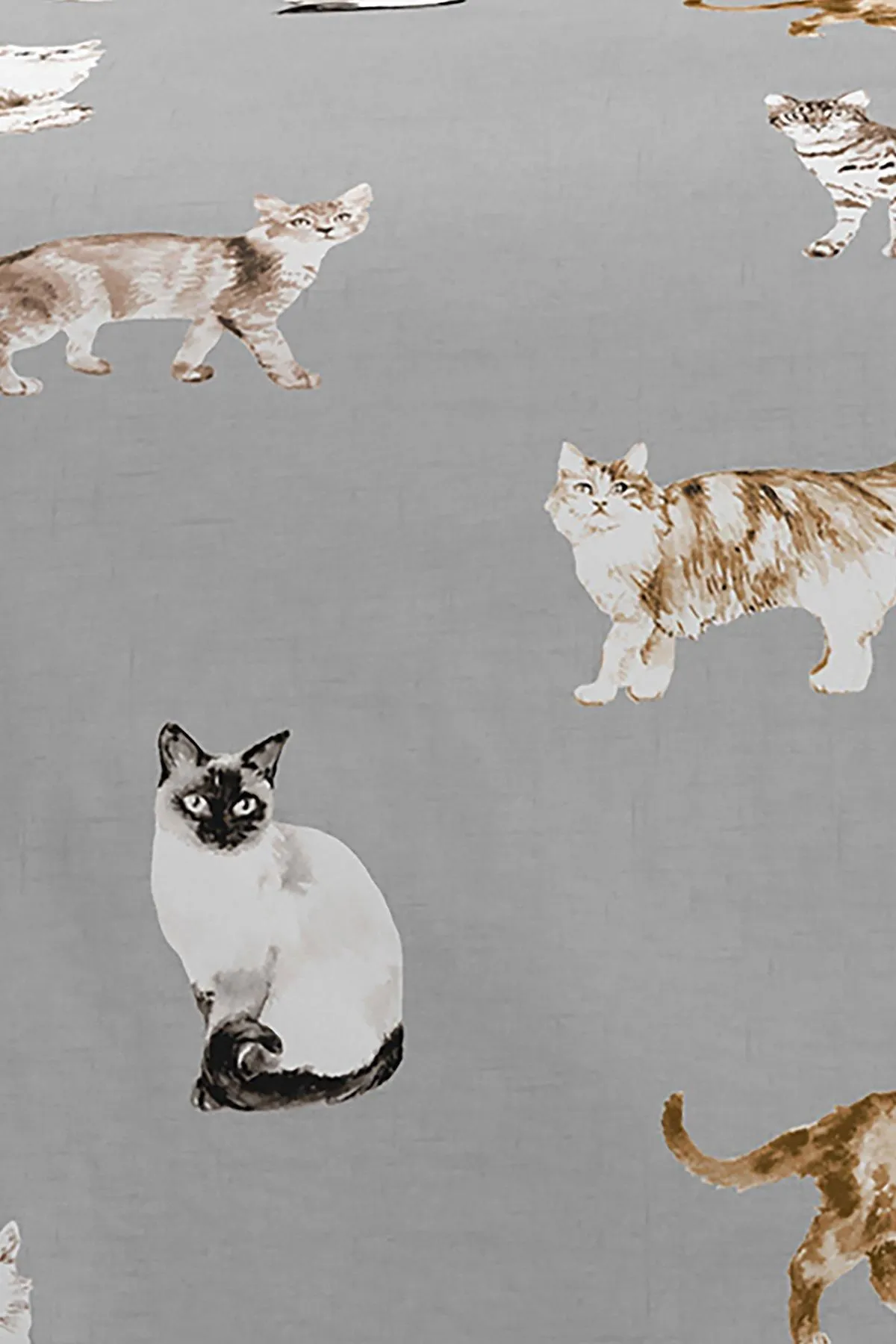 Fusion 'Cats' Luscious Hand Drawn Cat Print Duvet Cover Set in Grey 3