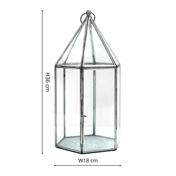 Glass House Terrarium 3