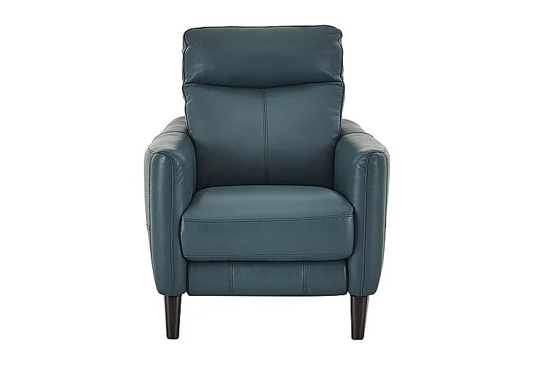 Compact Collection Petit Leather Armchair - BV Lake Green