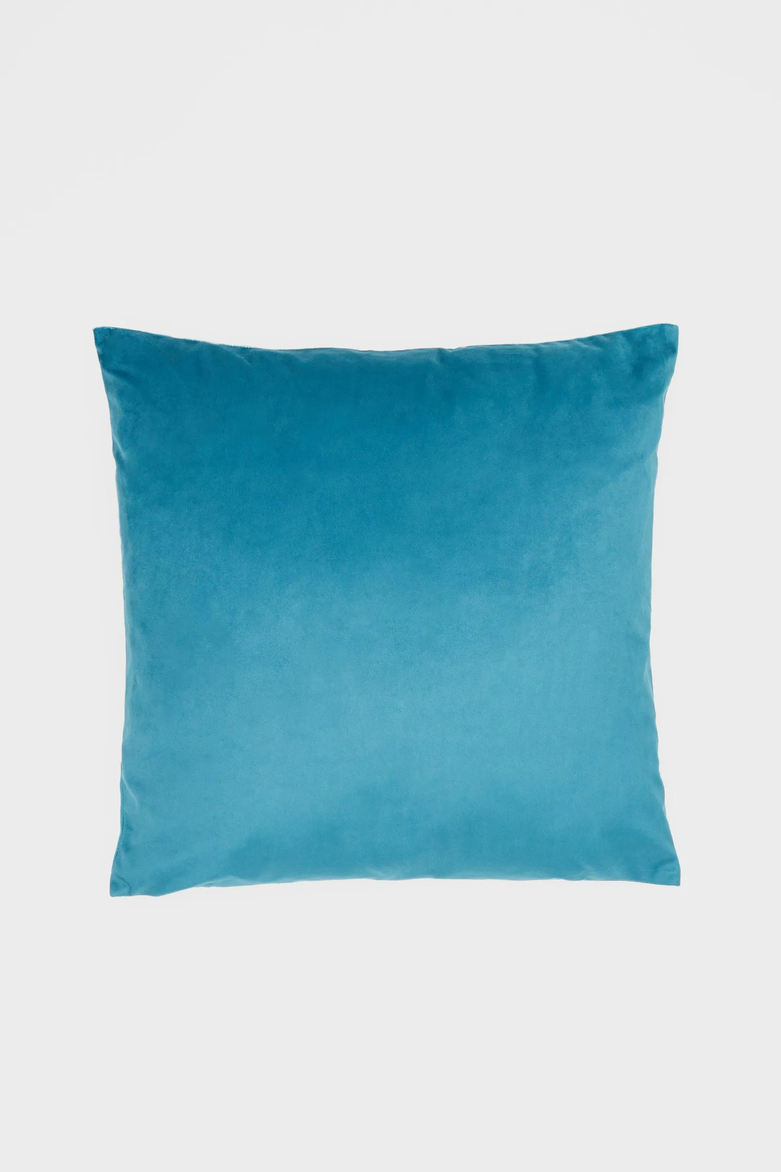 Velvet Cushion