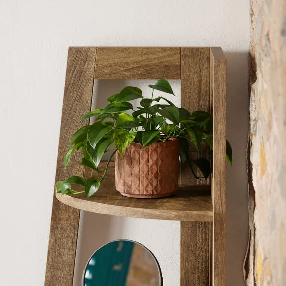 Humphrey Corner Ladder Shelf 3
