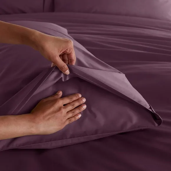 100% Egyptian Cotton 220 Thread Count Standard Pillowcase Pair 4