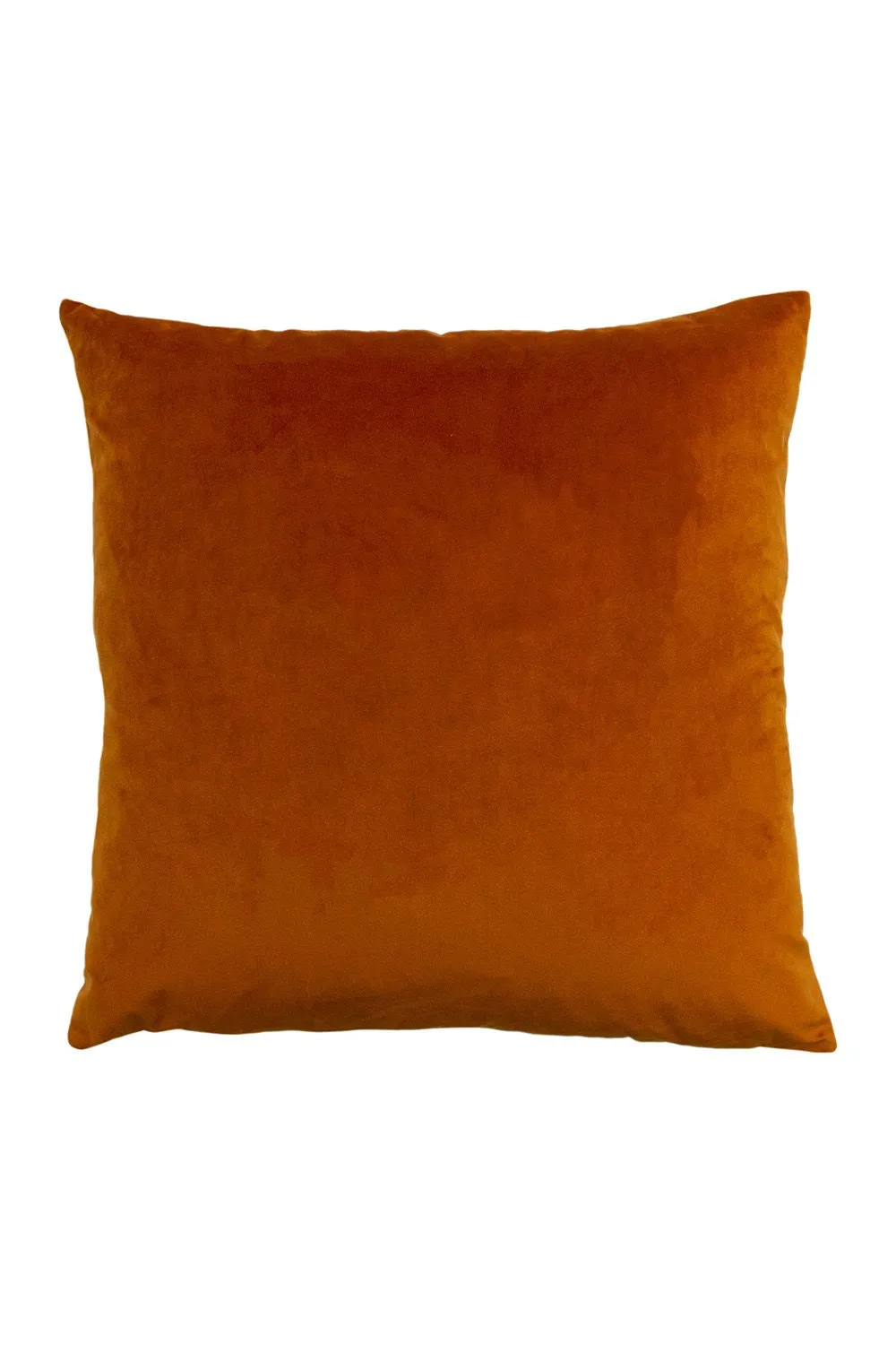 Paoletti Palm Grove Velvet Jacquard Fern Cushion in Teal 2