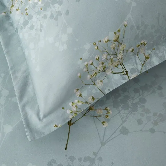 Dorma Gypsophilia 300 Thread Count 100% Cotton Standard Pillowcase Pair 5