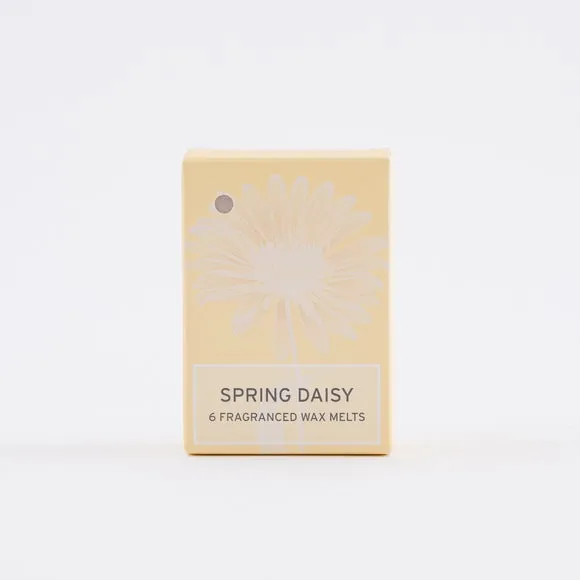 Set of 6 Springtime Daisy Waxmelts 4