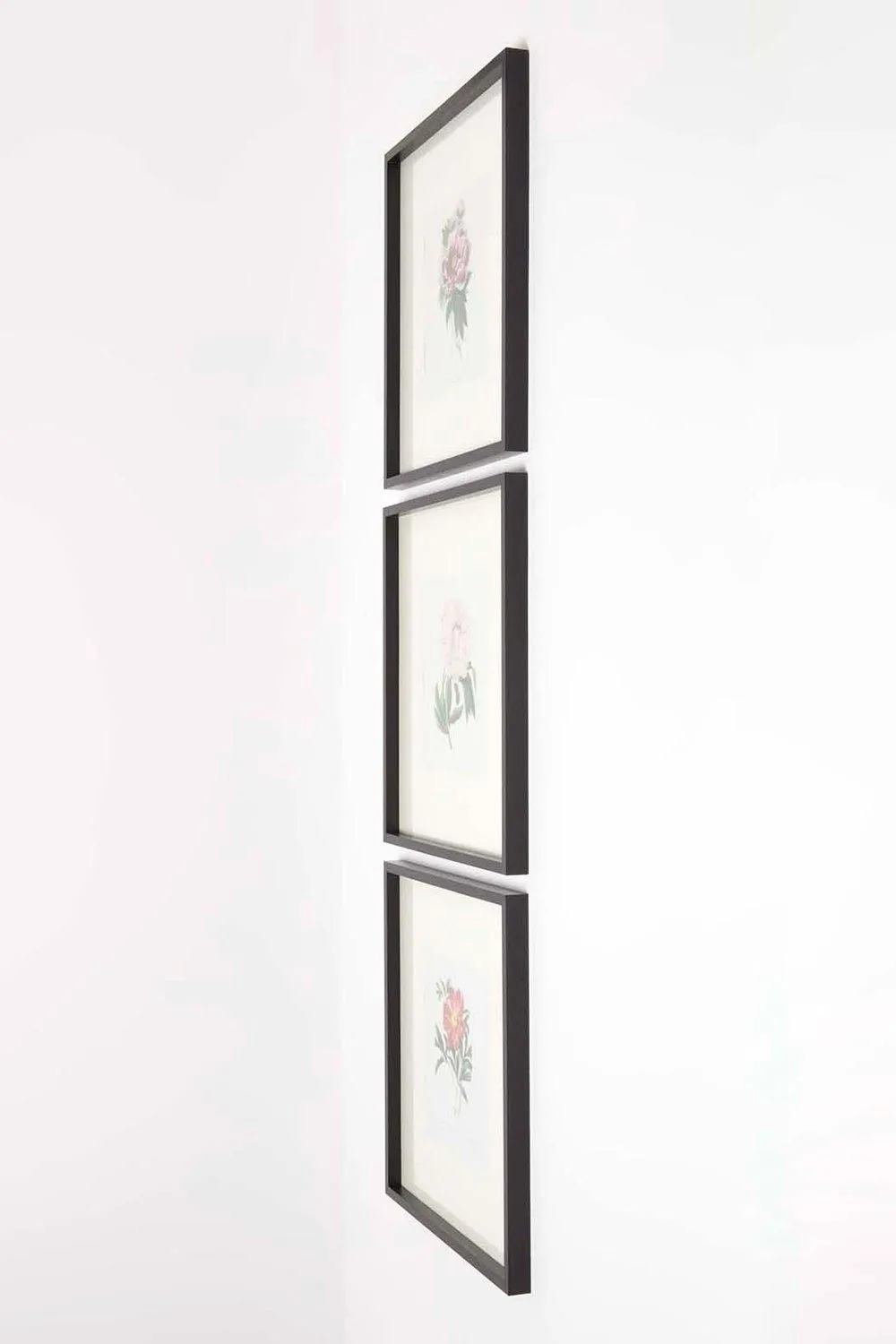 Homescapes Wall Decoration Set of 3 Frames with Picture, Peonies 5