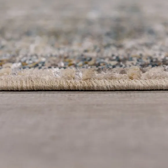 Remy Traditional Floral Rug 4