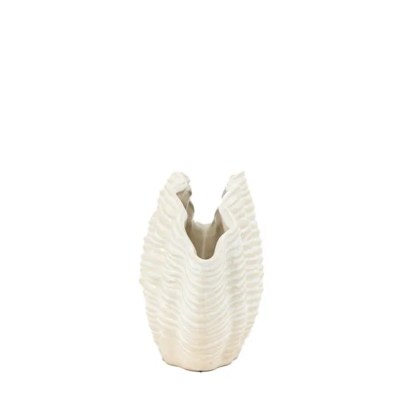 Ribbed Shell Ceramic Vase 5