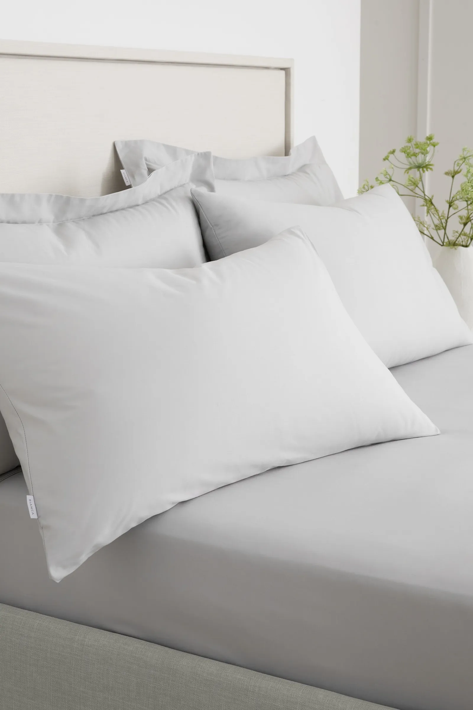 Bianca '200 Thread Count Cotton Percale' Standard Pillowcase Pair in Grey