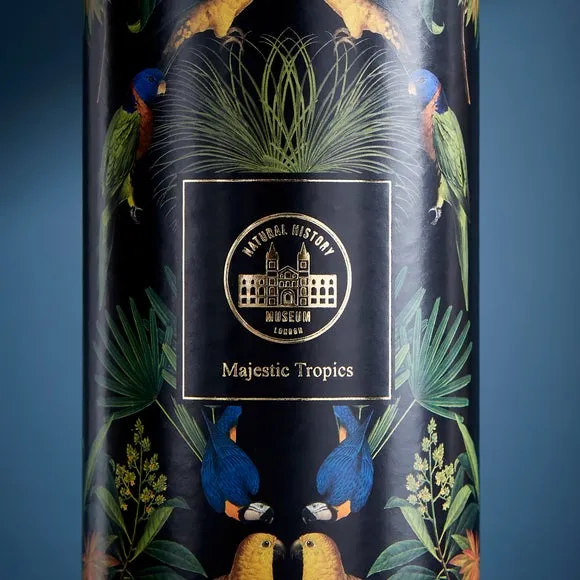 Majestic Tropics Birds Diffuser 3